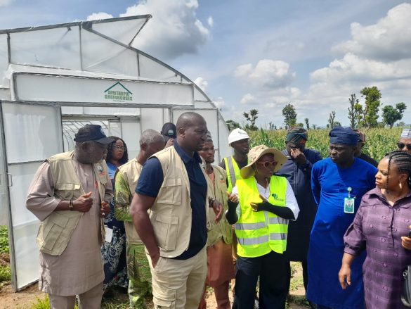Food Security: NALDA Commences Construction of Greenhouse Projects to Boost Vegetable Production